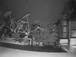 voyeurcam bridgetleewalters 02